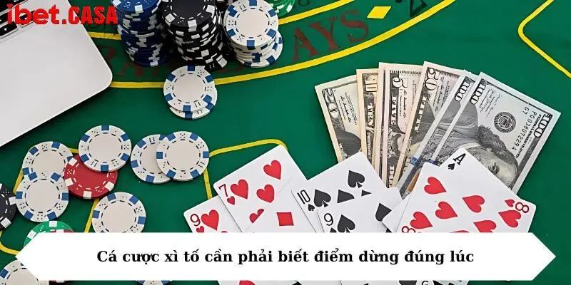 ca cuoc xi to can phai biet diem dung dung luc Cá cược xì tố cần phải biết điểm dừng đúng lúc