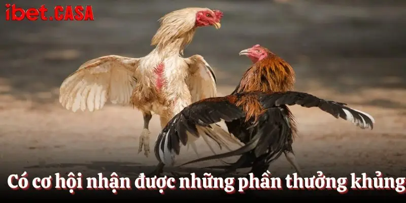 co co hoi nhan duoc nhung phan thuong khung tai i9bet Có cơ hội nhận được những phần thưởng khủng tại IBET