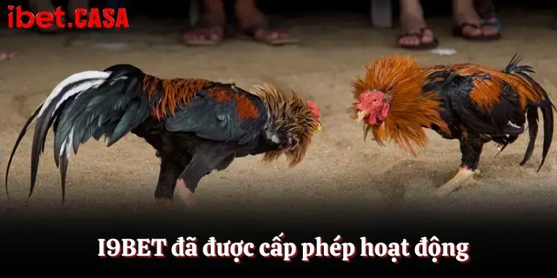 co the tham gia i9bet vi nen tang da duoc cap phep Có thể tham gia IBET vì nền tảng đã được cấp phép
