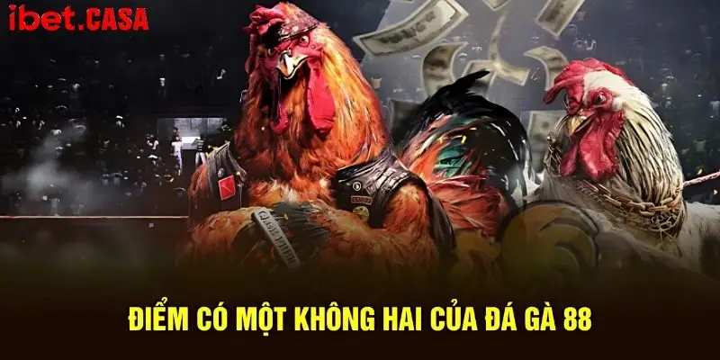 diem danh cac uu diem noi bat quy tu o choi ke 88 Điểm danh các ưu điểm nổi bật quy tụ ở chọi kê 88