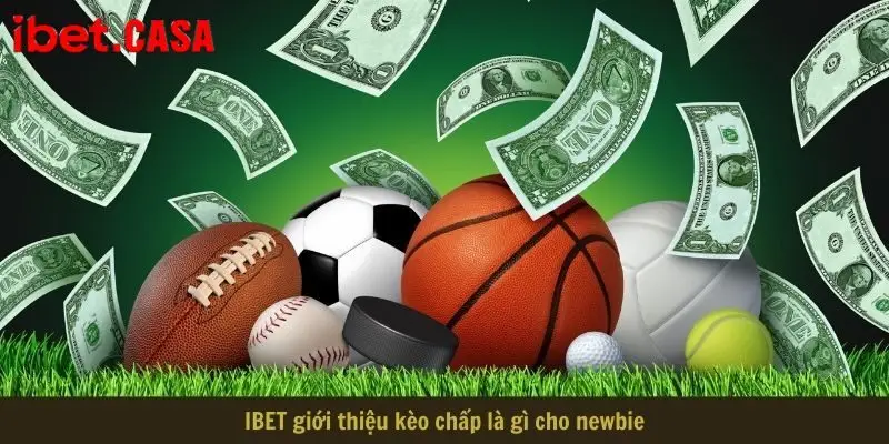 ibet gioi thieu keo chap la gi cho newbie IBET giới thiệu kèo chấp là gì cho newbie
