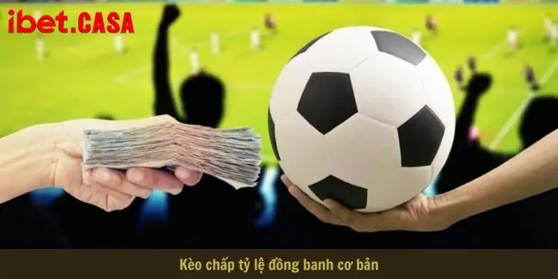 keo chap ty le dong banh co ban Kèo châu Á tỷ lệ đồng banh cơ bản