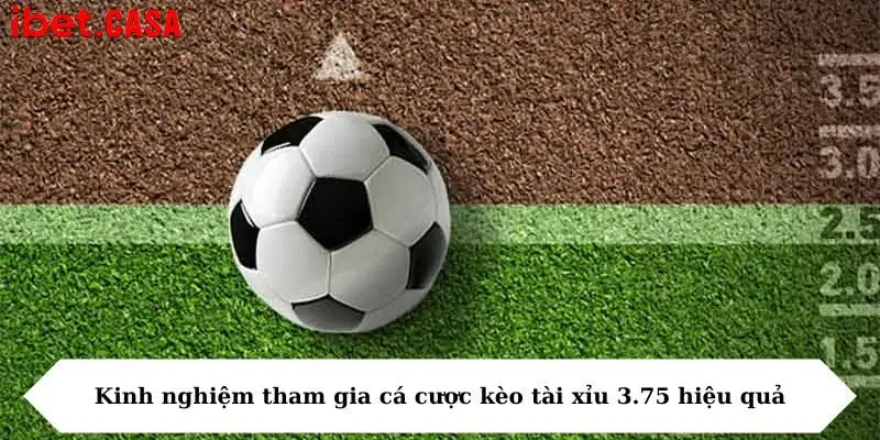kinh nghiem tham gia ca cuoc keo tai xiu 3 75 hieu qua Kinh nghiệm tham gia cá cược kèo tài xỉu 3.75 hiệu quả