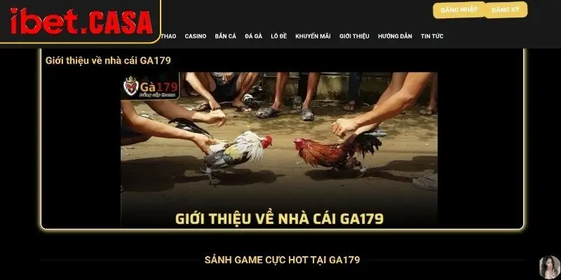 san choi da ga 179 chat luong cao dang choi trong 2025 Sân chơi đá gà 179 chất lượng cao, đáng chơi trong 2025