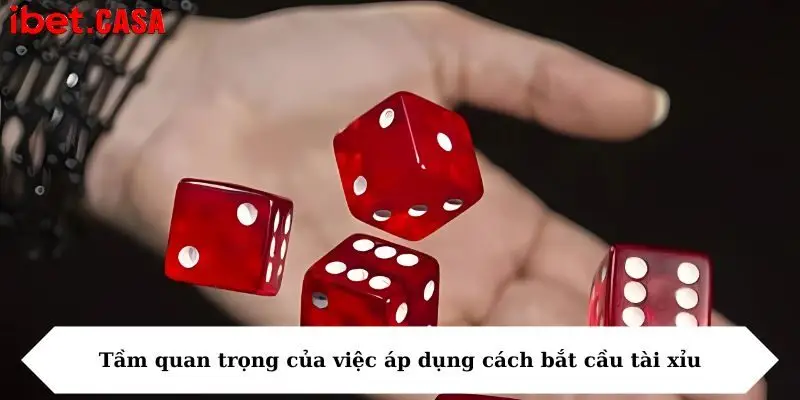 tam quan trong cua viec ap dung cach bat cau tai Tầm quan trọng của việc áp dụng cách bắt cầu tài xỉu