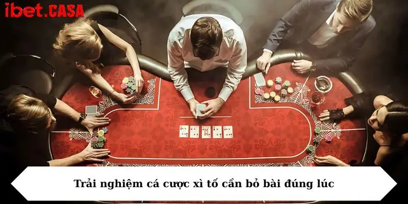 trai nghiem ca cuoc xi to can bo bai dung luc Trải nghiệm cá cược xì tố cần bỏ bài đúng lúc
